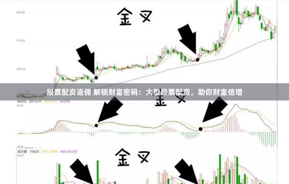 股票配资返佣 解锁财富密码：大型股票配资，助你财富倍增