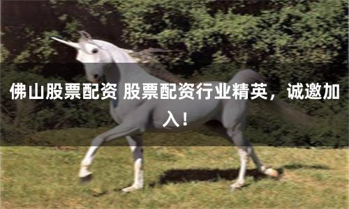 佛山股票配资 股票配资行业精英，诚邀加入！
